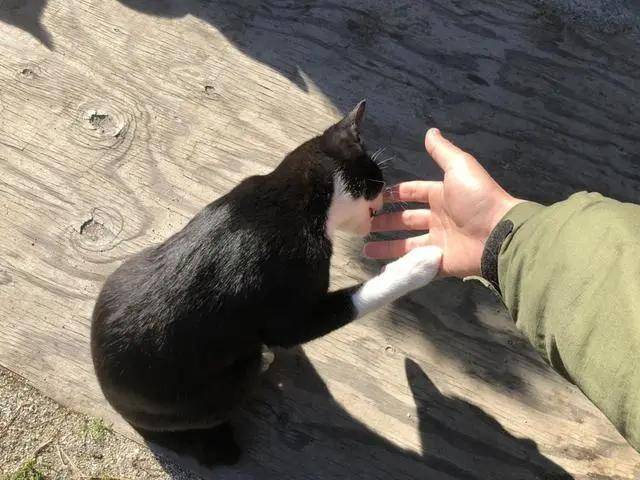 9257c92f807d4e0dbaf413eceace4304.jpeg