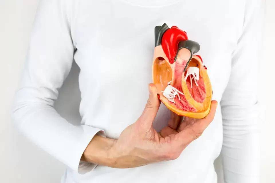 a9b0e0d38ec24b32b34f035cefc6cbad.jpeg