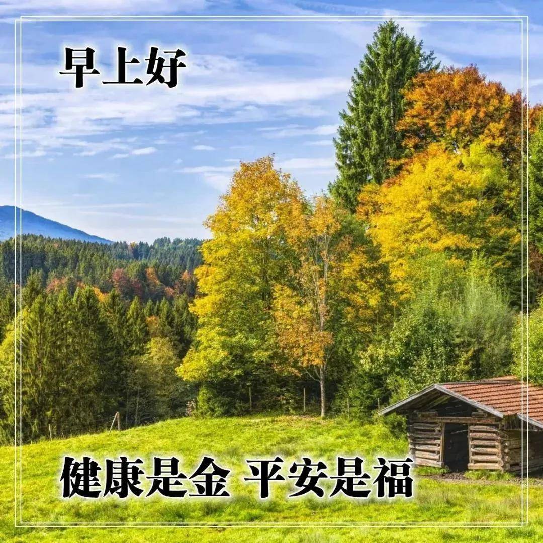 原创2021漂亮早上好图片动态的带鲜花2021年早上好动态表情图片