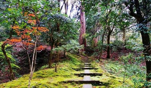 因为|日本旅游不能错过的人少景美米其林星级景点——小松那谷寺