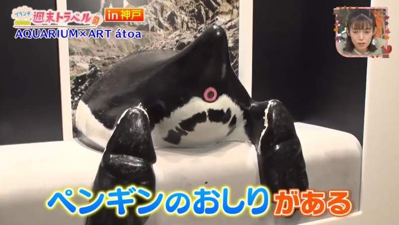 日本水族馆《体验企鹅屁股味道的装置》美少女闻了一下就原地升天了