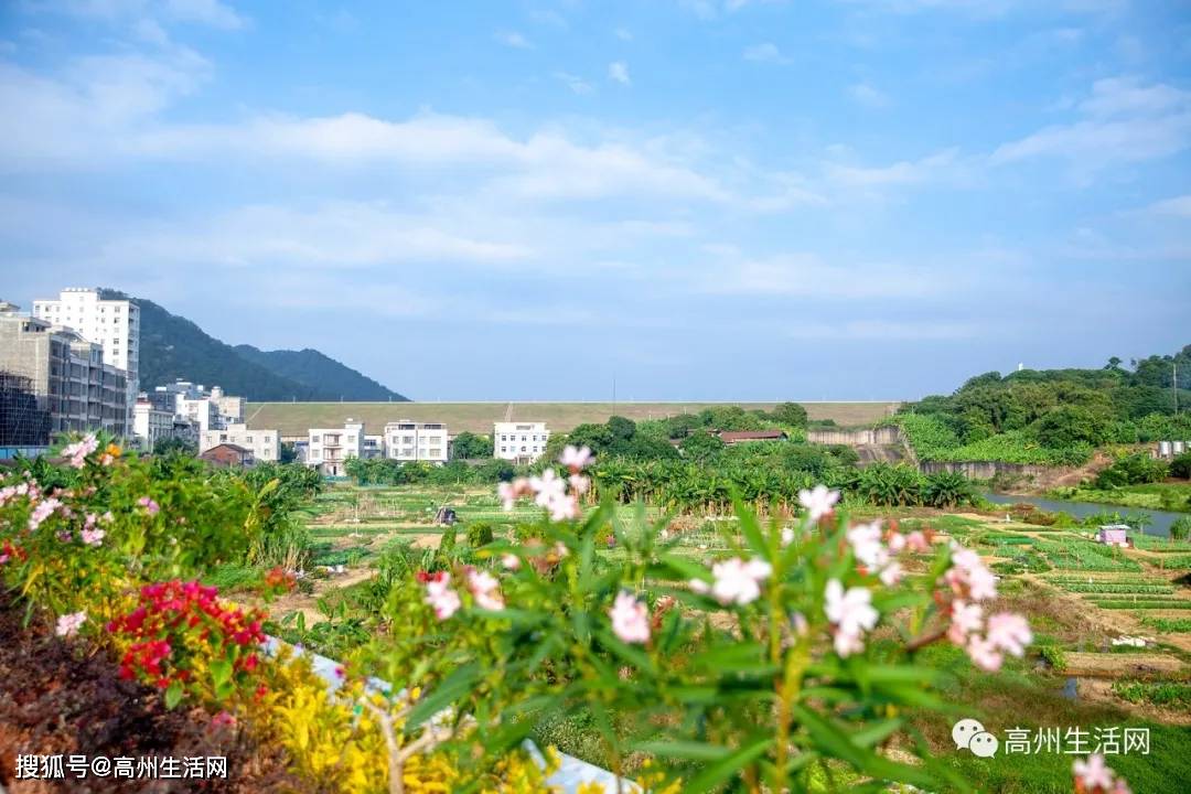超养眼高州长坡高颜值口袋公园上新啦快来打卡吧
