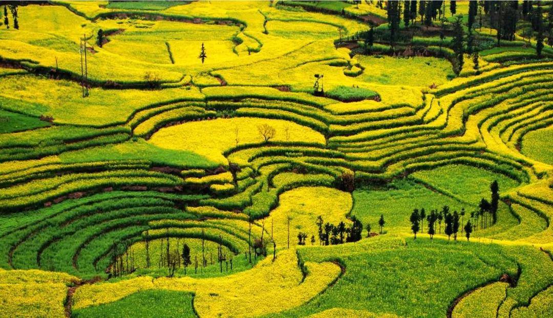 观光农业的9条打造路径_景观