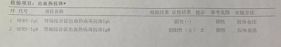 综合征|31岁小伙高烧不退以为是肠胃炎 竟是流行性出血热