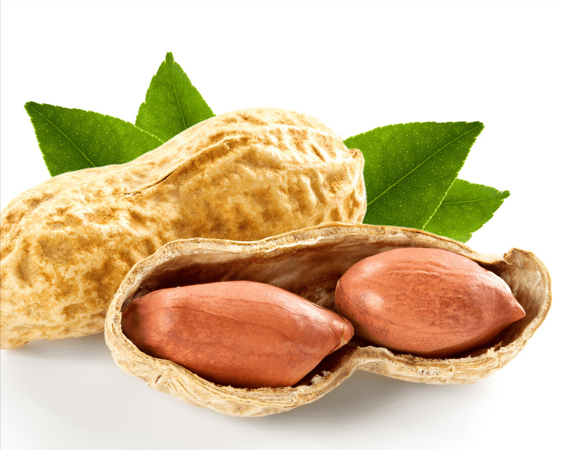 模型|吃花生到底是能诱发中风发作，还是能帮助预防中风？看专家怎么说