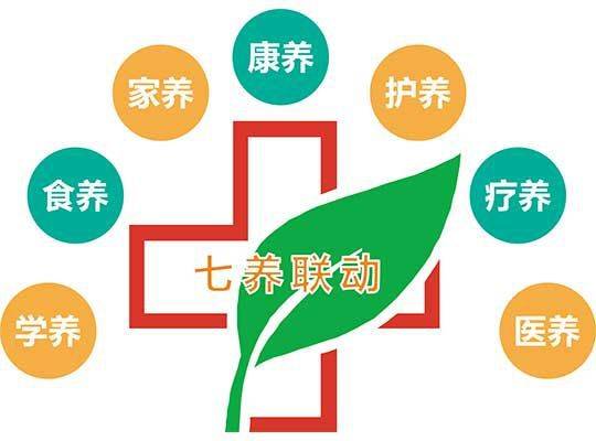 医养融合平台模式