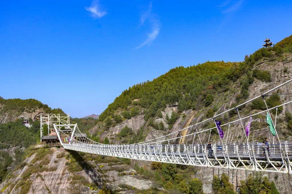 风险|11月19日，九龙山景区正式开门迎客