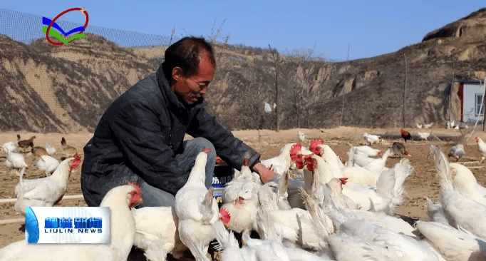 小孩|李利清：养鸡场里的幸福人生