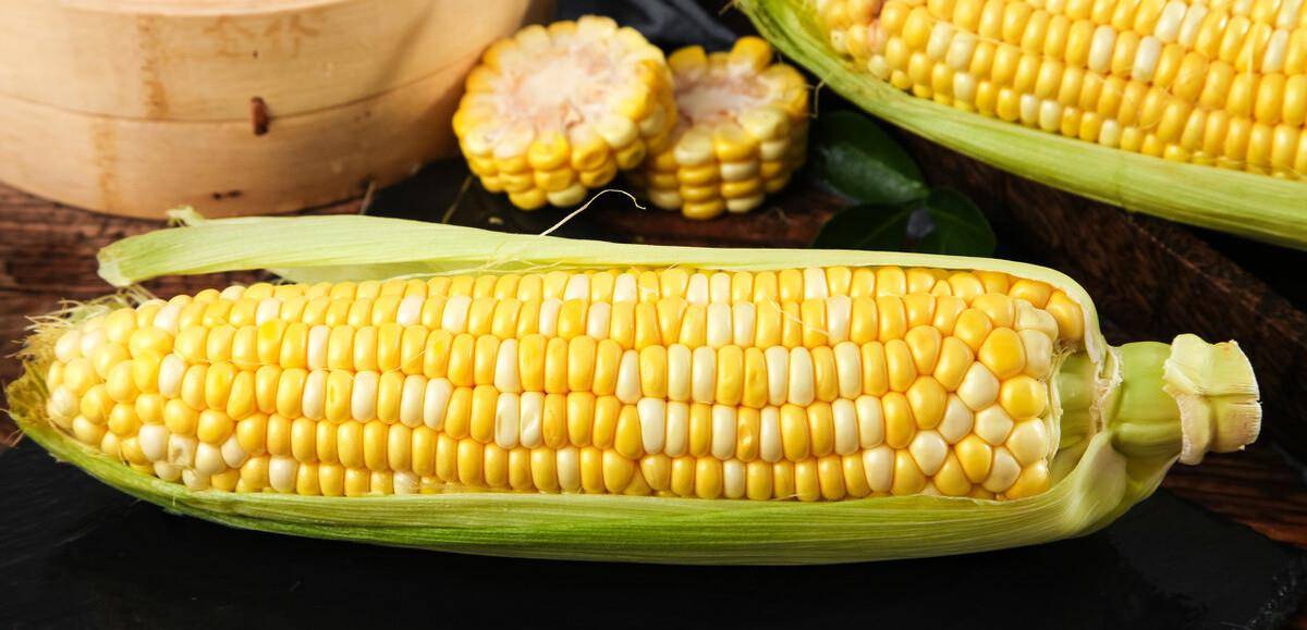 方法|保存玉米很簡單，教你正確方法，玉米久放依舊新鮮，味道好吃如初