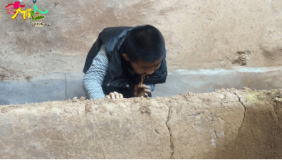 古房|《艺术大探险-古房疑云》艺术家素质教育项目，选角来自各机构