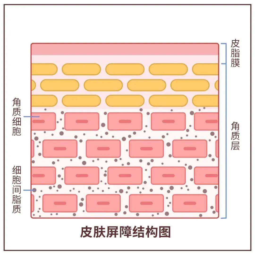 降低洗脸究竟要洗多久？90%女生不知道的烂脸根源就在这
