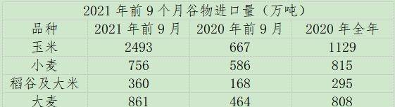 总产量|2021年粮食丰收已定局，为何玉米等谷物进口量却翻倍？答案来了