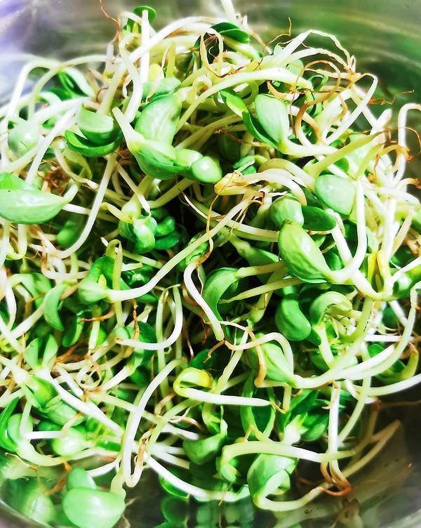 脸上易出油 多吃这种菜 清除油脂 脸上干爽细腻 管用 豆苗 全网搜