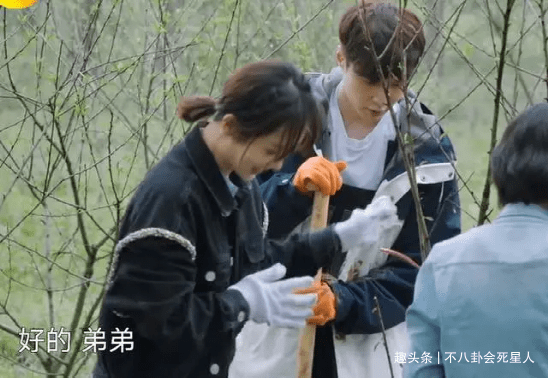 现实|杨紫一人录三期,11个小艺人录一期,《向往》揭露红与不红的现实