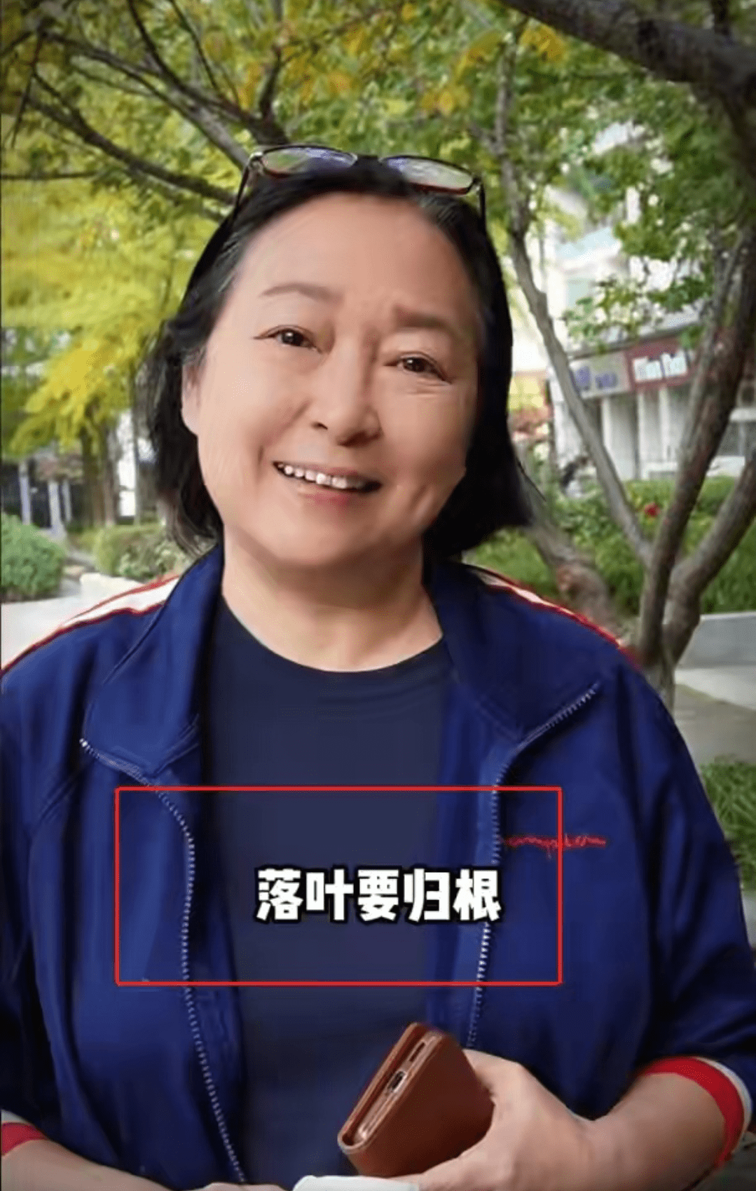 台湾女演员 老年图片