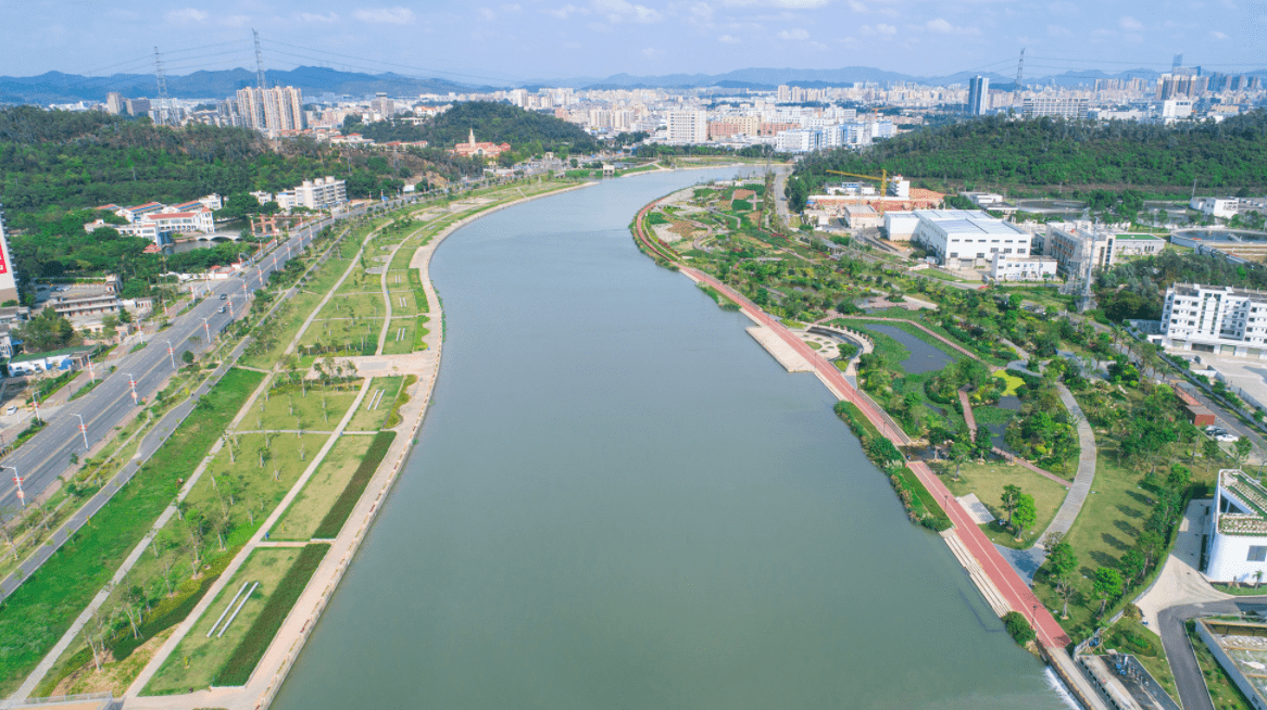 深圳之喜!茅洲河光明段首次发现"野生水蕨",它到底有多稀缺?_河流