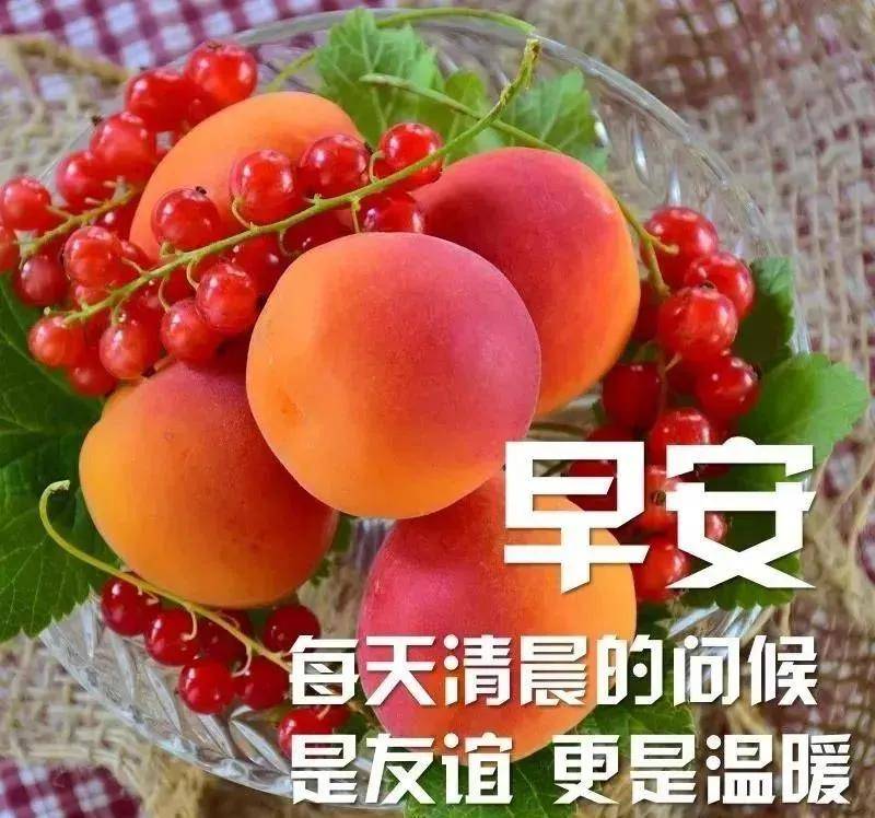 原创8张最新创意好看的冬日早上好祝福图片不用打字聊天的早上好问候