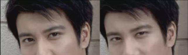 什么到底是什么决定了颜值,为什么同父同母的人,颜值能差那么多?