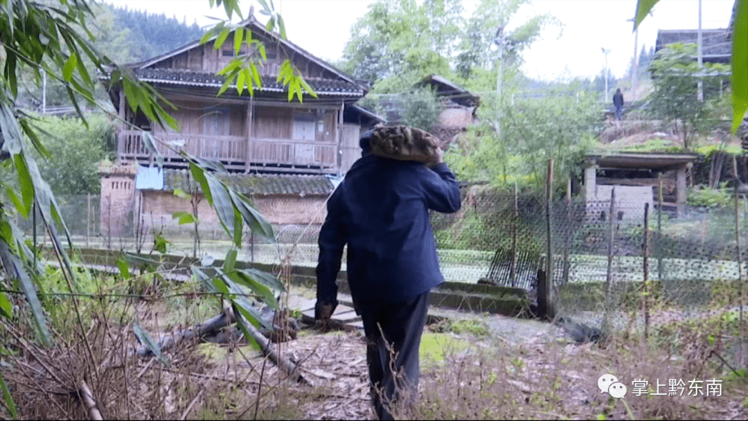 易忠诚|黔东南七旬老人收藏奇石20年！仅化石就几百斤……