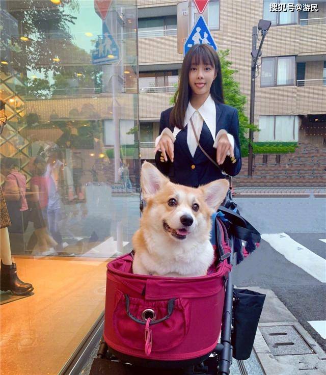 作用 30岁沈梦辰晒美照，穿西装搭百褶裙长腿逆天，171身高比例太出挑