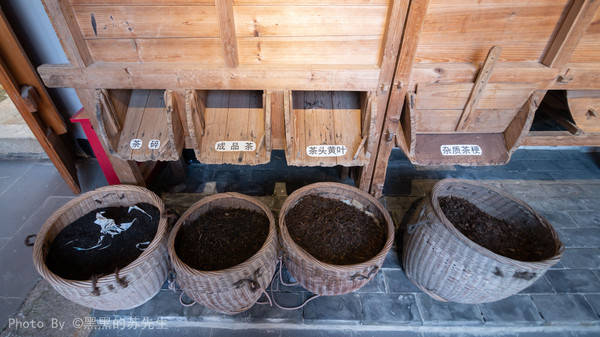 凤凰|潮州有座茶博物馆，珍藏了700年的“茶王”，游客惊呼不可思议