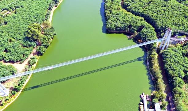 航拍广州这座湿地玻璃桥，壮观如虹，气势磅礴