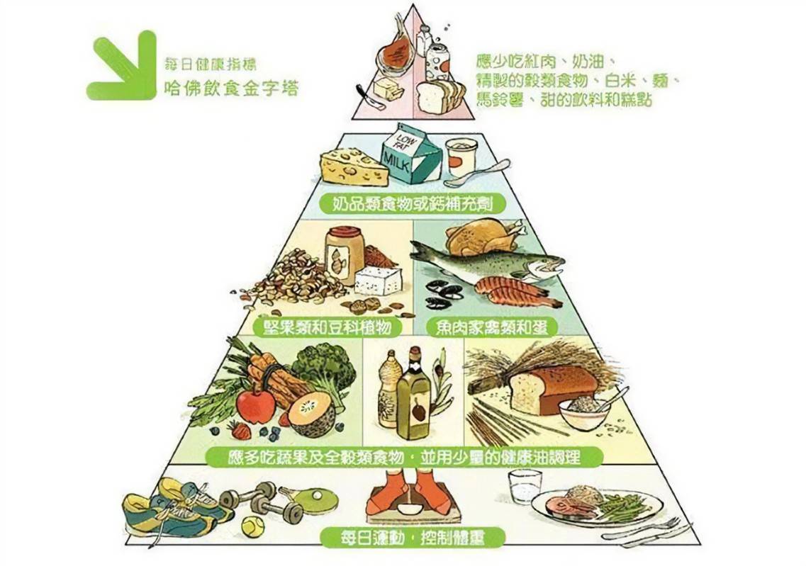 体型|宝宝越胖越可爱？肥胖的危害家长需警惕！