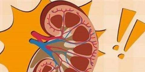 治疗|怎么样才算是肾病,怎么预防呢?