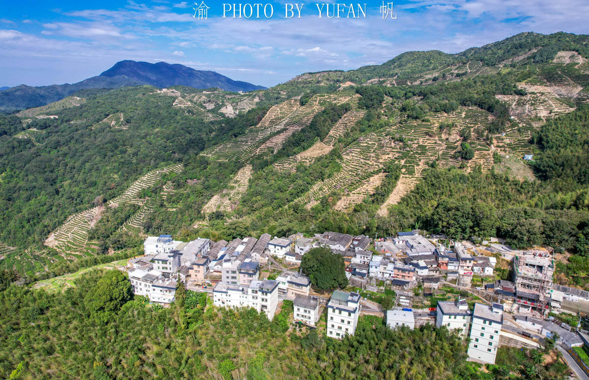 叶子而|藏在粤东大山里的世外桃源，形如山中半岛，村民因一片叶子而致富