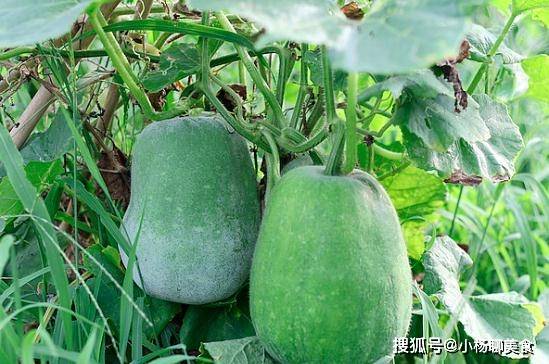 2ac28a12ede34997a7605b8ede9e916a.jpeg