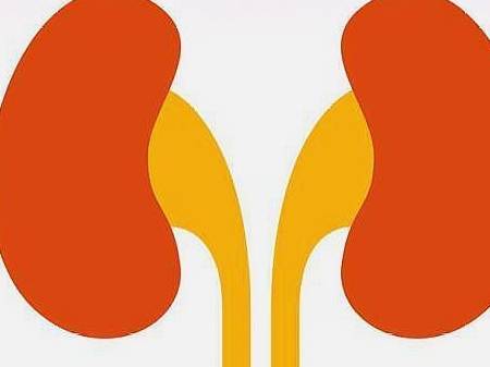 治疗|细说“尿毒症”的发病诱因，得病后还能存活多久