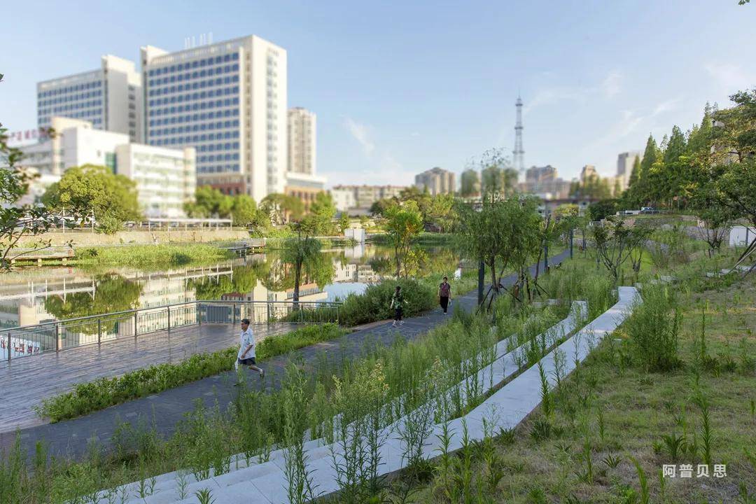 阿普贝思荣获2021wan世界建筑新闻网大奖金奖 | up s喜讯_公园