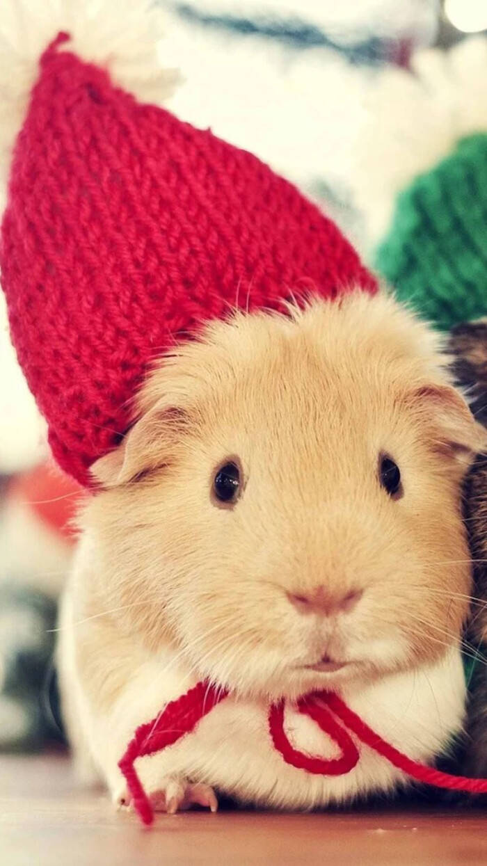 原创我终于决定不等了,把爱而不得的你,归还于人海.