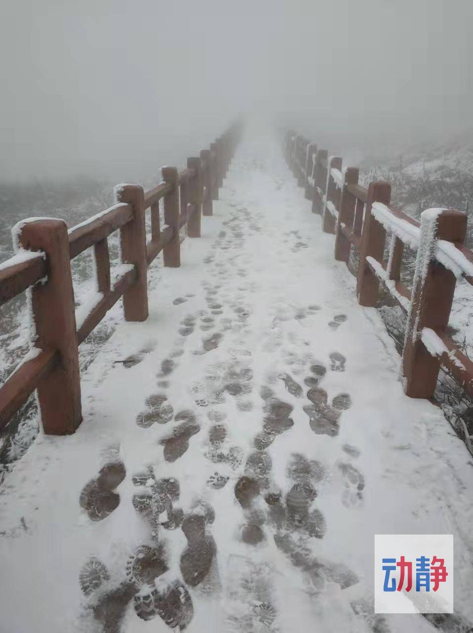 阻止不了|冰天雪地！快来贵州韭菜坪赏雪吧~