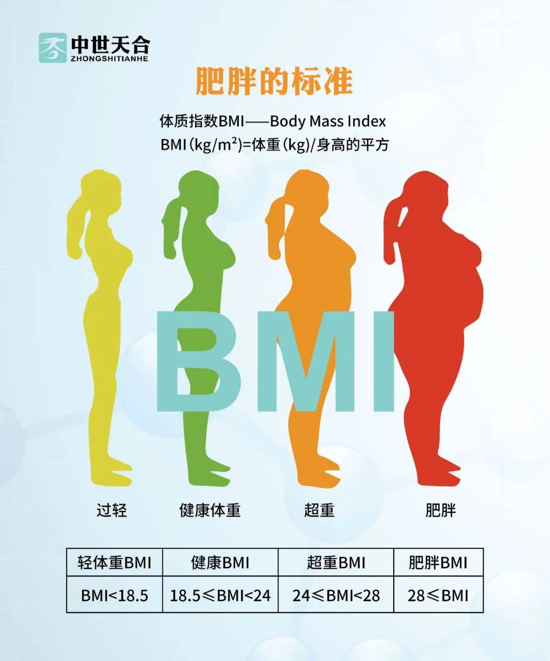 女性身材体脂率图片