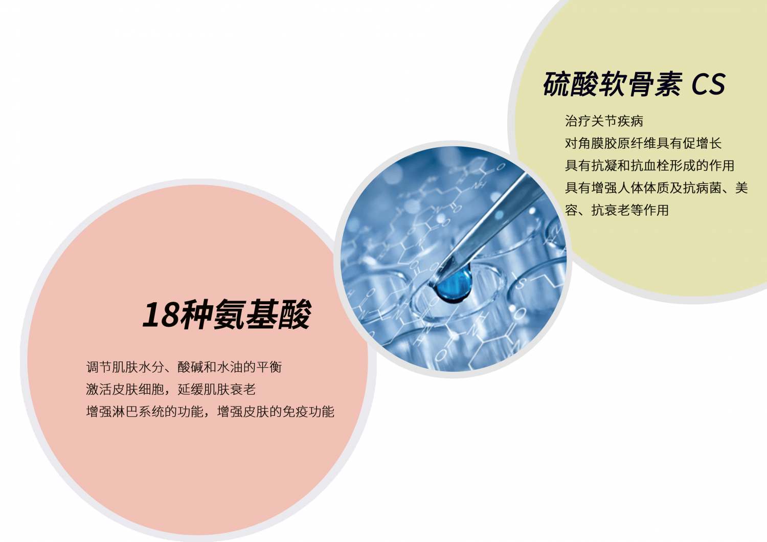 国货新标杆 ——哈尚美蛋膜肽