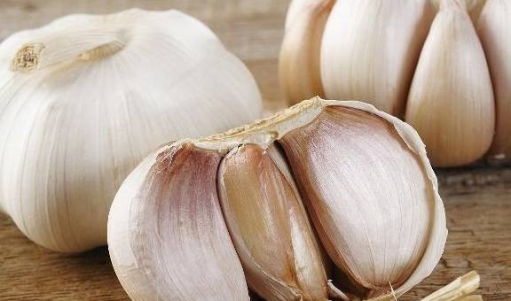 蒜什么时候种最便宜 322823fd86c047078c016b32ba97883c.jpeg