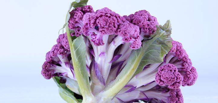 女性不想水桶腰,常吃此菜,有效消除雀斑,排出毒素,防止肥胖_紫菜_菜花