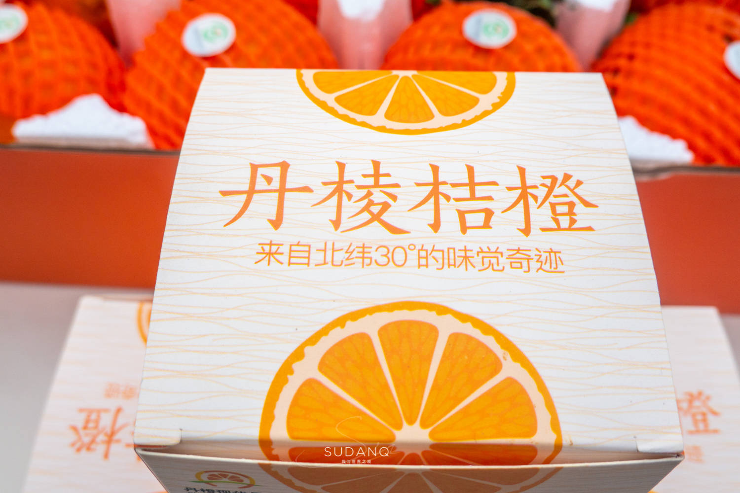 中国最好吃的桔橙在哪？四川人：“天府橙都”，北纬30度的绝味