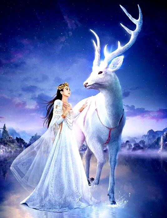 中国信通院"泰尔网测"app正式上线:完全免费,无广告