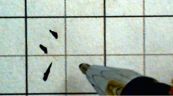 e3795373792d4922969f600fbbfa4c2b.png