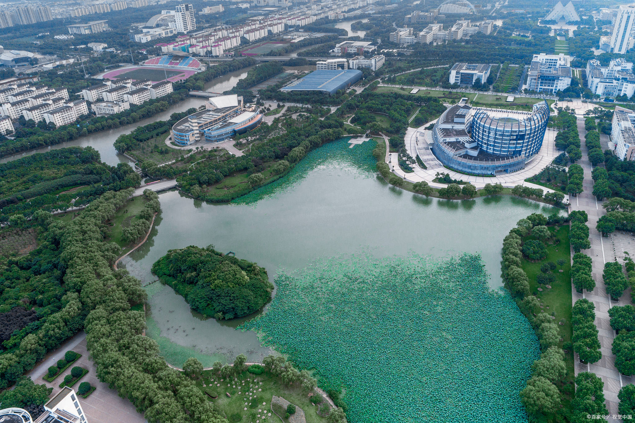 文科优势生大学有哪些_文科优势生大学排行榜_文科生的优势越来越大