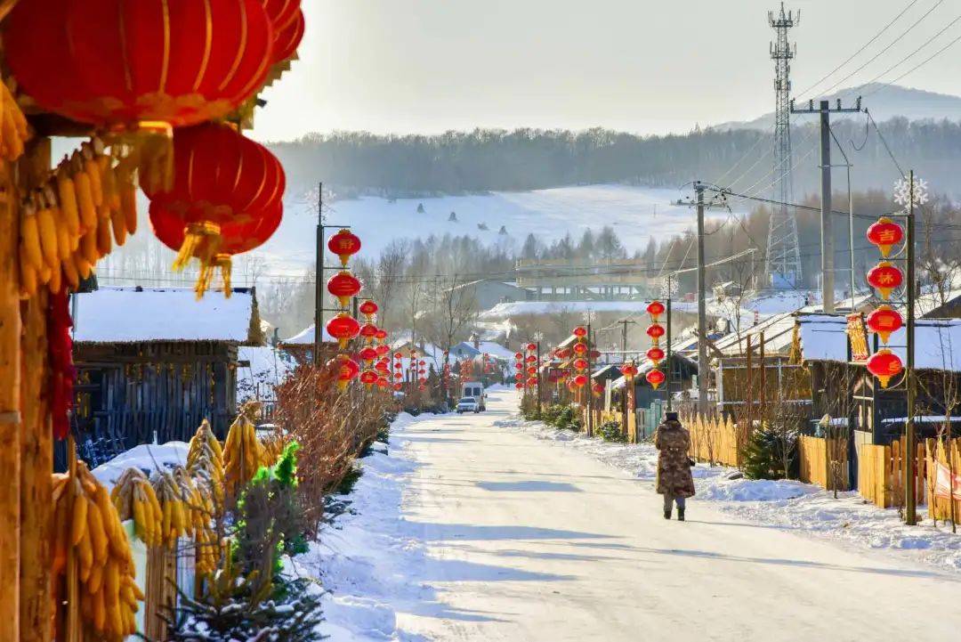 滑雪|吉林邀您滑粉雪 到底啥才是粉雪？