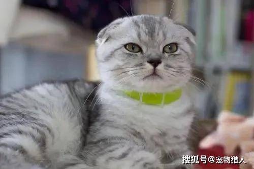 29f6c536ea354fe1a53ac1a31956d893.jpeg