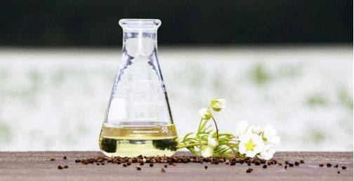 植物看看这九种天然植物提取物护肤品
