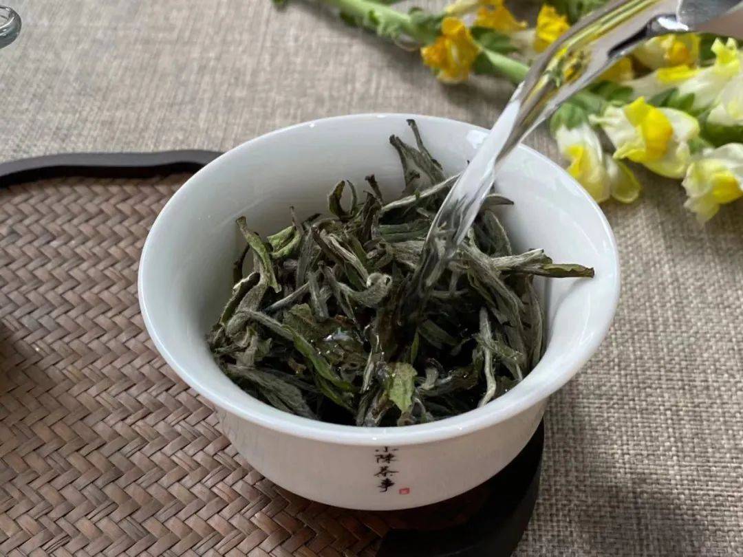 新白茶为什么会有青味?这是好是坏,看完涨知识了