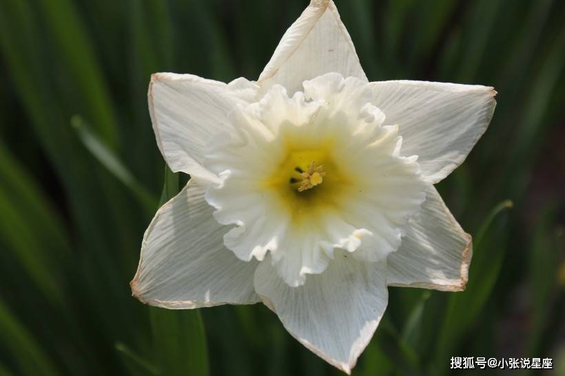 如何做到自信乐观 662dbeddeefa482fb65309eba854d53a.jpeg