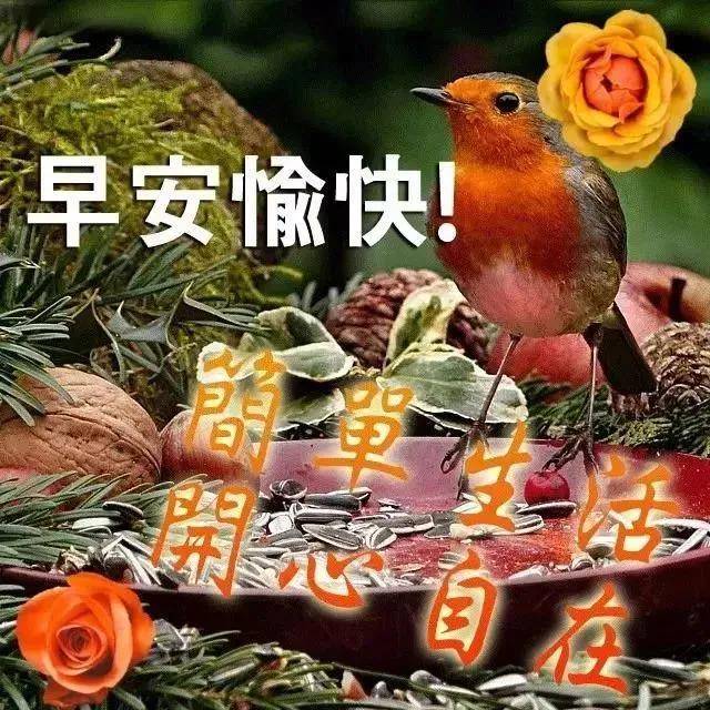 原創11月29日大家早上好圖片大全集群發早上好動態表情包