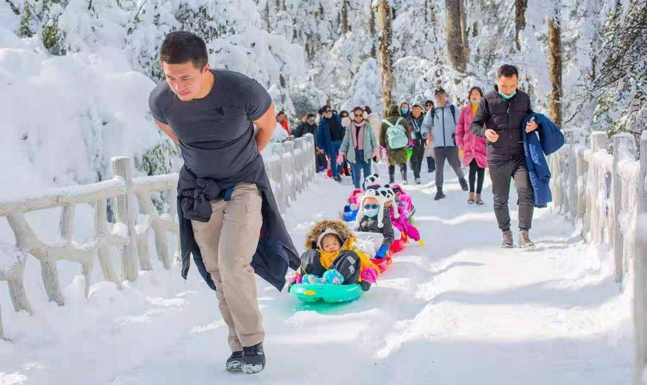 官宣三大野生萌宠空降燃情开启瓦屋山最萌冰雪嘉年华