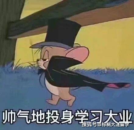 top|专排top项目毕业的我，回国竟被HR拒之门外？